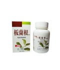 Isatis Root Extract (Ban Lan Gen Pian)  60 Capsules
